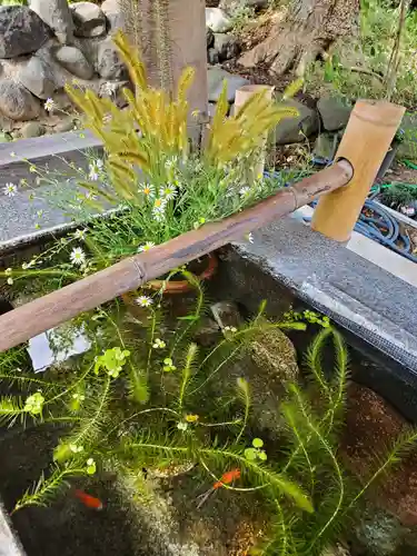 高司神社〜むすびの神の鎮まる社〜(福島県)
