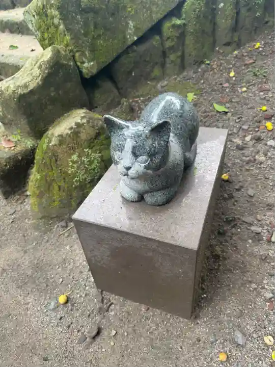 猫神社(鹿児島県)