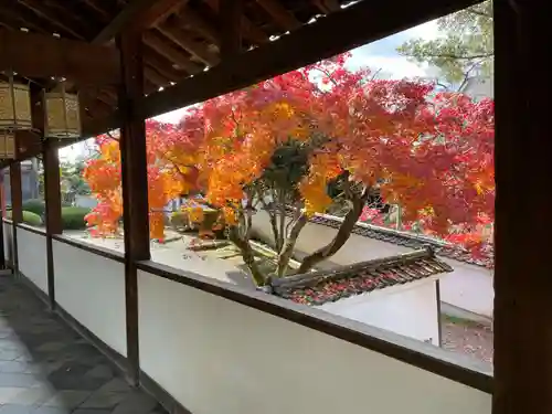 萬福寺(京都府)