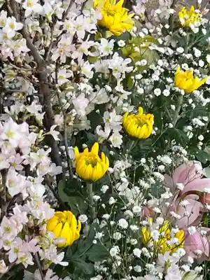 上尾御嶽神社(埼玉県)