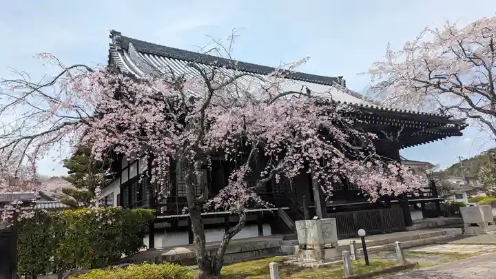 妙満寺(京都府)