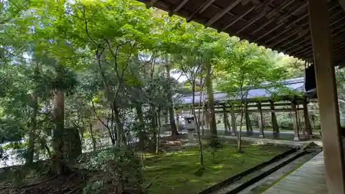 龍安寺(京都府)