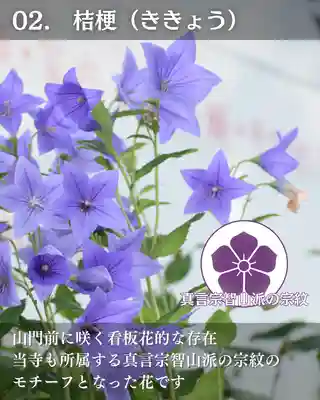 宝光寺(北海道)