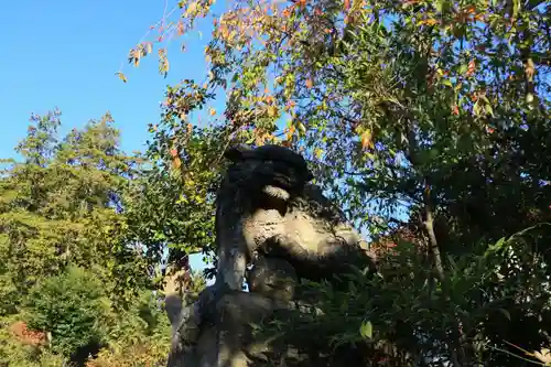 豊景神社の狛犬