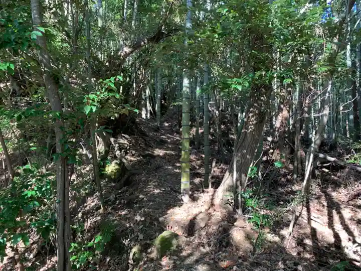 浅間神社の自然