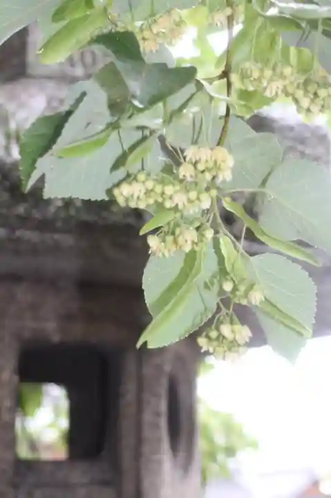 くろ谷 金戒光明寺(京都府)