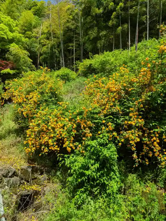 長法寺(京都府)