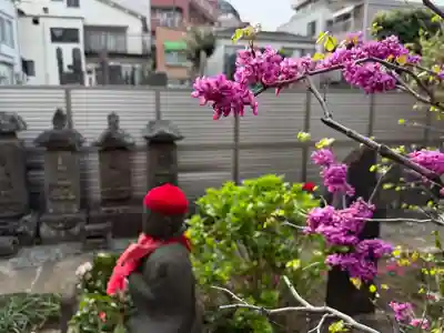 福王山  慈眼寺(東京都)