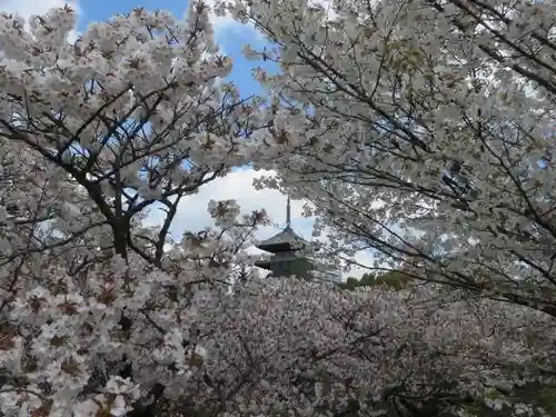 仁和寺(京都府)