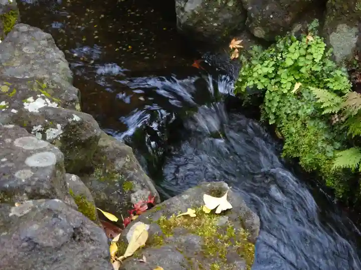 長谷寺(神奈川県)