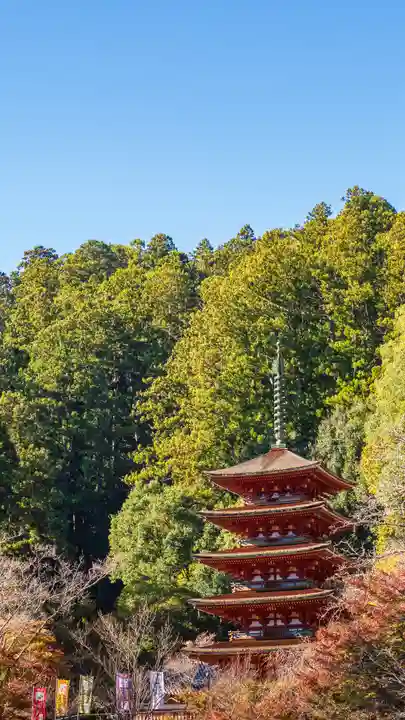 長谷寺(奈良県)