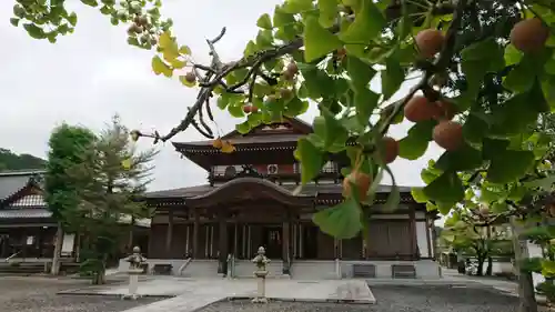 誕生寺の本殿・本堂