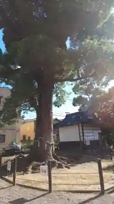 五社神社の自然