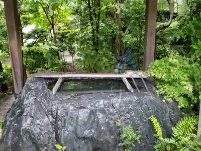 大学院の手水舎