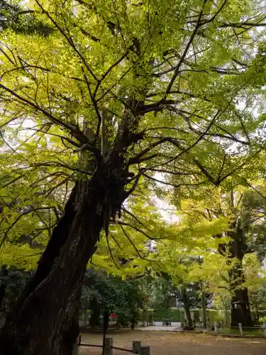赤坂氷川神社(東京都)