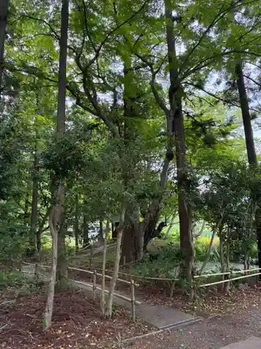 皆神神社(長野県)