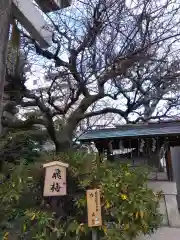 菅大臣神社の自然