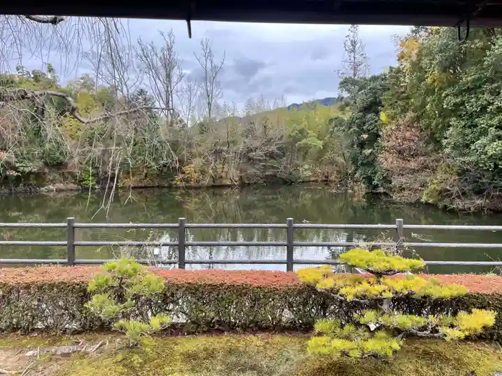 正法寺(京都府)