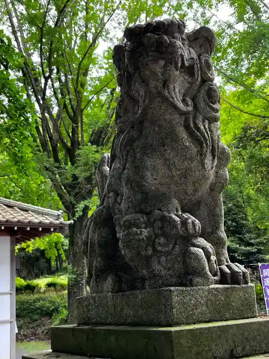 糀谷八幡宮の狛犬