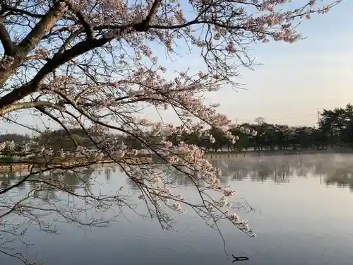 牟禮山観音禅寺の自然