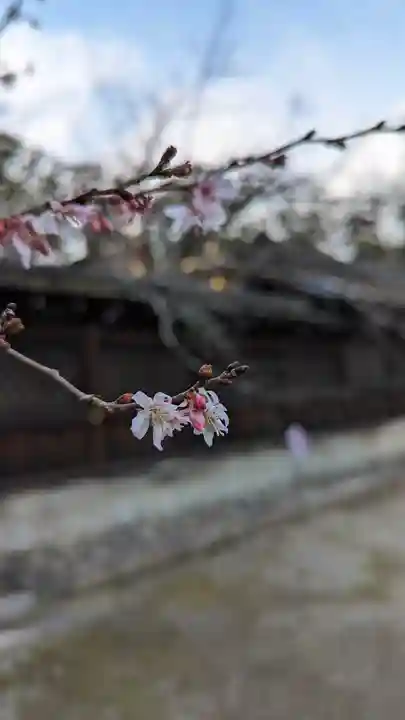 平野神社(京都府)