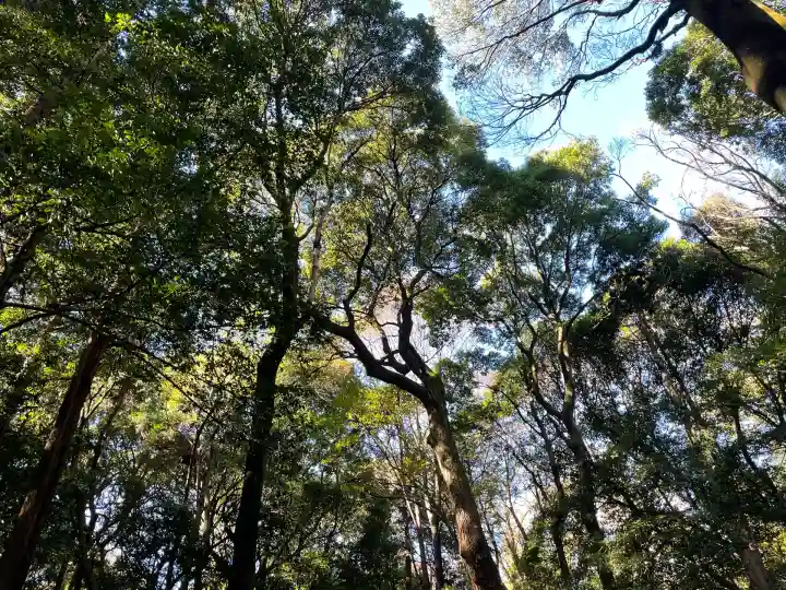 明治神宮(東京都)