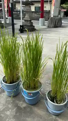 大鏑神社(福島県)