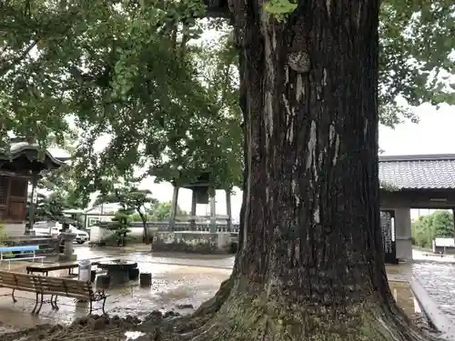 地蔵寺の建物その他