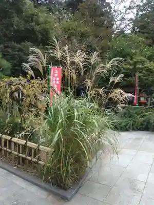 福泉寺(神奈川県)