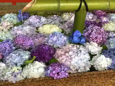 鶴岡八幡宮の手水舎