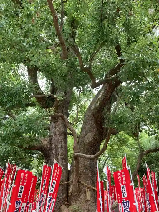 住吉大社の自然