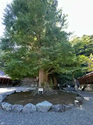 安房神社の{uncategorized: "未分類", other: "その他", undefined: "問題あり", building: "その他建物", grave: "お墓", sacred_gate: "鳥居", guardian: "狛犬", statue: "像", buddha: "仏像", history: "歴史", nature: "自然", garden: "庭園", animal: "動物", pagoda: "塔", temizu: "手水舎", mountain_gate: "山門・神門", sanctuary: "本殿・本堂", subordinate: "末社・摂社", art: "芸術", scenery: "景色", jizo: "地蔵", ema: "絵馬", goshuin: "御朱印", omikuji: "おみくじ", items: "授与品その他", amulet: "お守り", goshuincho: "御朱印帳", eats: "食事", festival: "お祭り", votive_dance: "神楽", shichigosan: "七五三参", wedding: "結婚式", experience: "体験その他", initially: "初詣", around: "周辺", anti_infection: "感染症対策"}