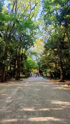 賀茂御祖神社（下鴨神社）(京都府)
