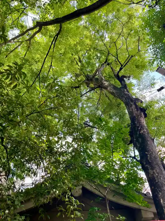 隆栄稲荷神社(東京都)