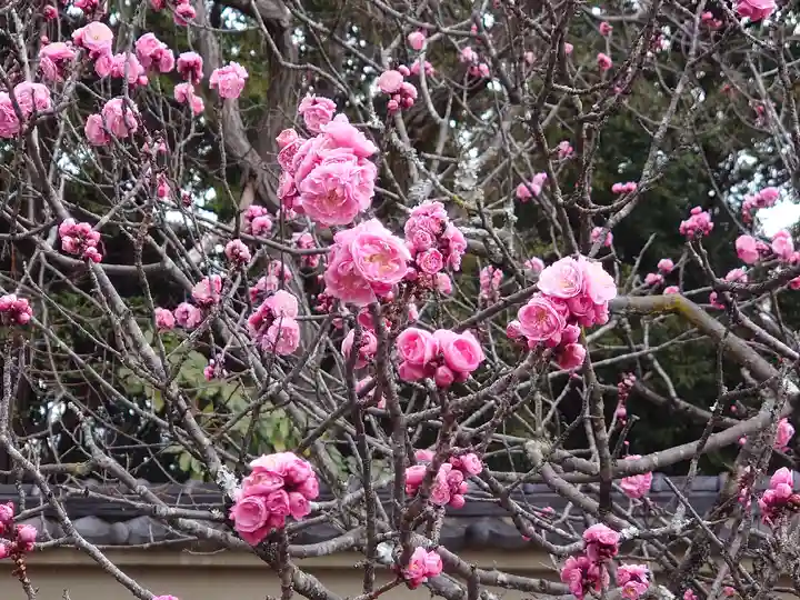 建勲神社の自然