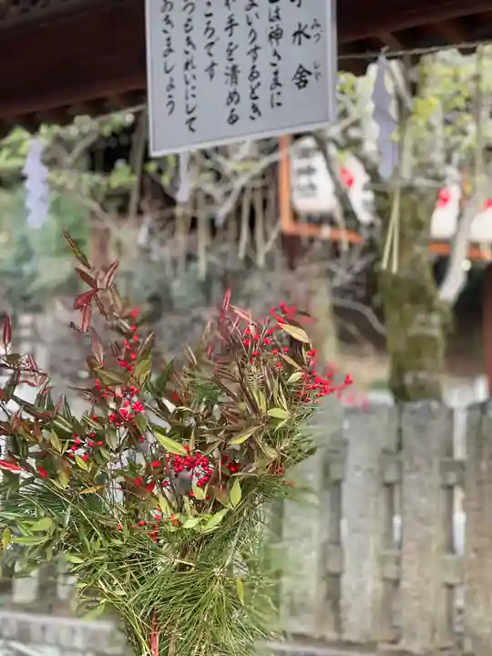 吉田神社の自然