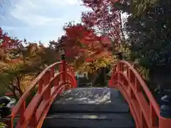 正法寺(京都府)