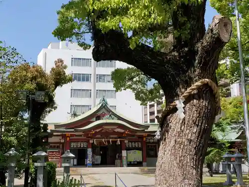 豊崎神社の本殿