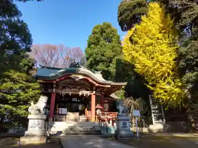中野氷川神社の本殿・本堂