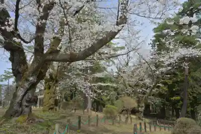 蒼柴神社(新潟県)
