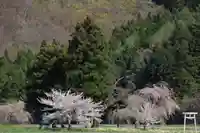 大山祇神社の景色