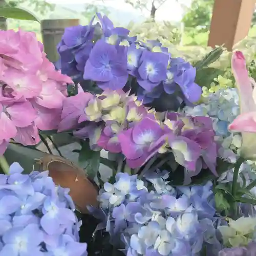 高司神社〜むすびの神の鎮まる社〜の手水