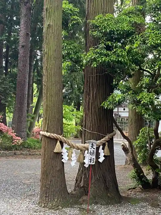 駒形神社の自然