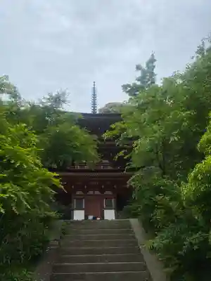 浄瑠璃寺(京都府)