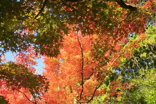唐招提寺(奈良県)