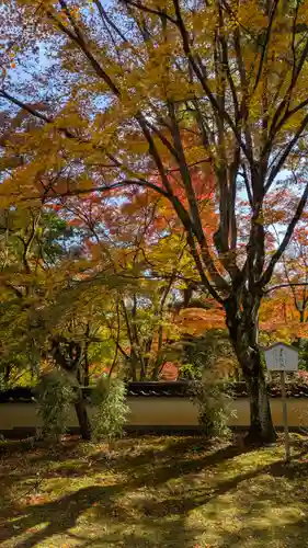 十輪寺(京都府)