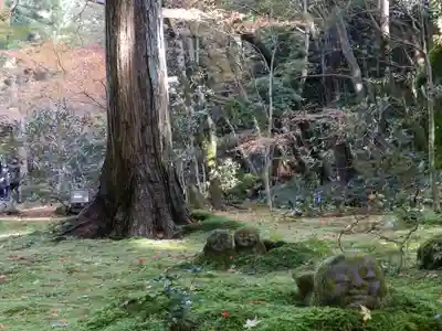 三千院門跡(京都府)