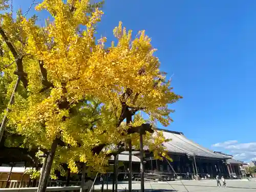 本願寺（西本願寺）(京都府)