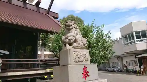 高円寺氷川神社の狛犬