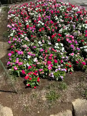 西新井大師総持寺(東京都)